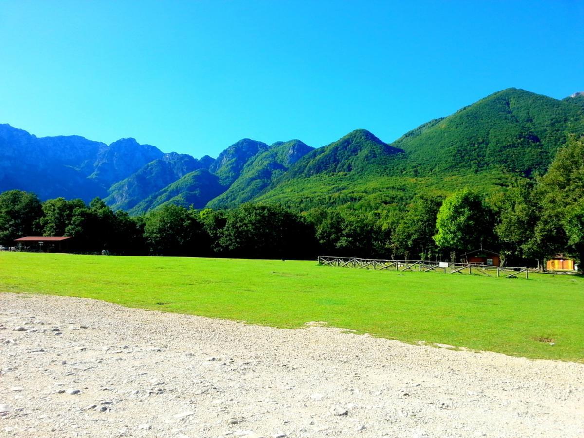 Hotel Holidays 3*